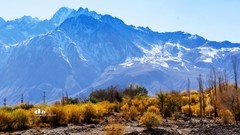 南疆行——帕米尔的石头城与金草滩（7）?