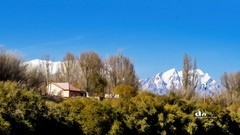 南疆行——帕米尔的石头城与金草滩（7）?