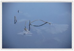 寒水浮生未了痕