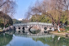 冬天的九莲塘公园