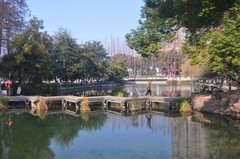 冬天的九莲塘公园