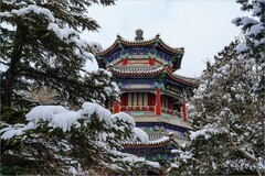 2026年第0067贴-颐和园风光纪实游拍（0124）