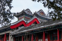 2026年第0067贴-颐和园风光纪实游拍（0124）