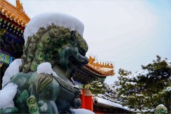 2026年第0067贴-颐和园风光纪实游拍（0124）