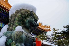 2026年第0068贴-颐和园风光纪实游拍（0124）