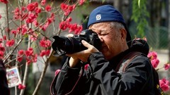 公园遛弯儿，随见随拍