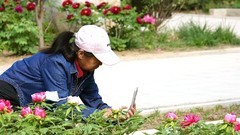 公园遛弯儿，随见随拍