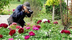 公园遛弯儿，随见随拍