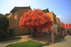 中江有个挂面村（一）