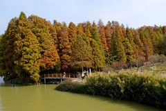 游公园随拍（二）