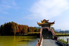 游公园随拍（二）