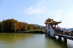 游公园随拍（二）