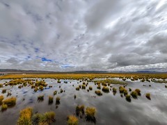 2026年- 甘南风光纪实旅拍-0289