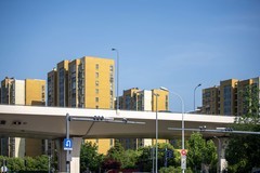 庐州印象（645）