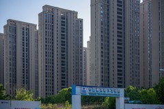 庐州印象（645）