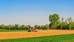 莱茵平原之色（南德）