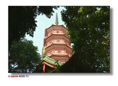 佛教古刹-六榕寺。