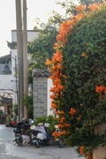 建水古城3-----小街随拍