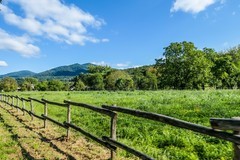 秋之“青绿”（德国黑森林地区）