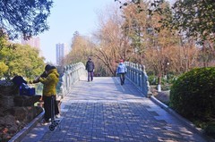 冬天的九莲塘公园（续）