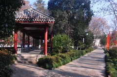 冬天的九莲塘公园（续）