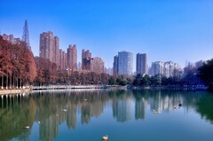 冬天的九莲塘公园（续）