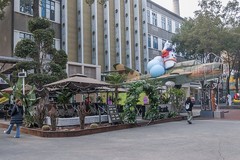 成都-东郊记忆（3）