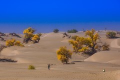 外出随拍（623）.