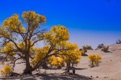 外出随拍（623）.