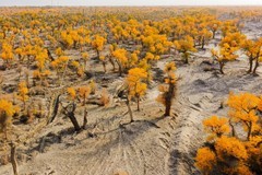 外出随拍（624）.