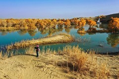 外出随拍（624）.