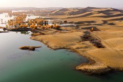 外出随拍（624）.