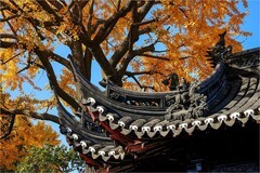 2026年第0071贴-上海豫园纪实游拍（0125）