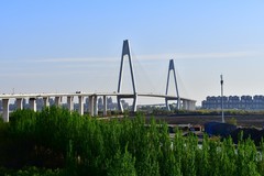 春风十里骑行路，一览无余风光美……