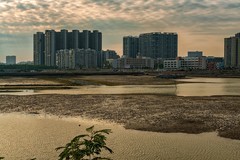 茂名电白 · 水东湾红树林