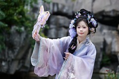 【冬日蝴蝶花仙美女】--- 栗糕