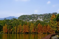 游公园随拍（5）