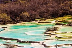 外出随拍（810）.