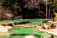 外出随拍（810）.