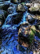 【镜头里】第1652号：这么近那么美随手拍河北·兴隆篇（三）