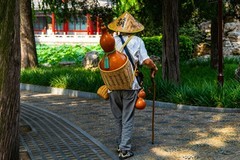 葫芦老人游荷园