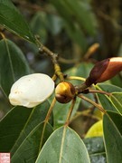 2025.3.16走进贵州道真大山随拍（16）