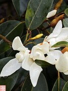 2025.3.16走进贵州道真大山随拍（16）