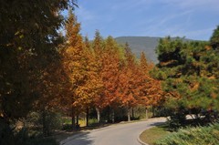 香山植物园（北京）