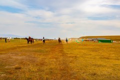 昭苏湿地公园跑马场