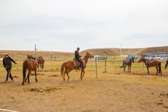 昭苏湿地公园跑马场
