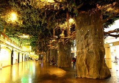 1408【不老松：纪实摄影】《异国风情录》三国演义：新、马、泰游记！ (05)马来西亚！