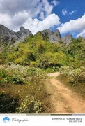 老挝万荣山里速写--续
