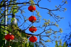 楞严寺公园晨曦