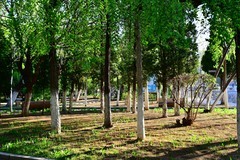 楞严寺公园晨曦